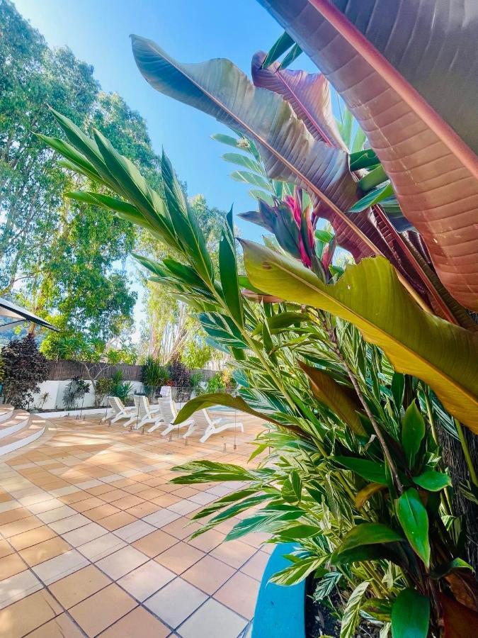 Beachview Apartments At Villa Paradiso Palm Cove Dış mekan fotoğraf