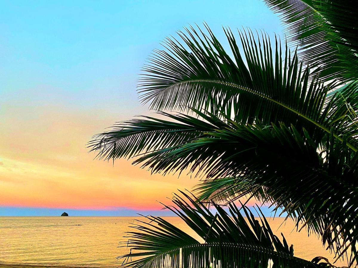Beachview Apartments At Villa Paradiso Palm Cove Dış mekan fotoğraf